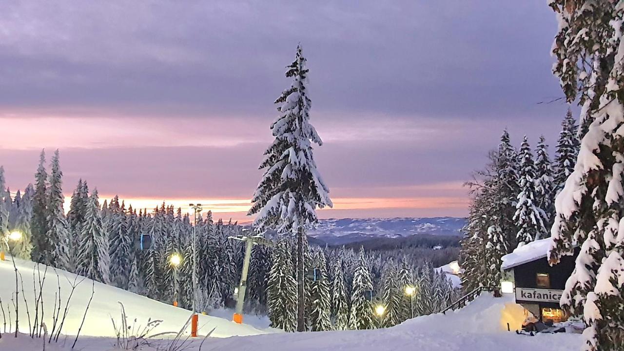 Brko 8 - Lazy Skiing Retreat 亚霍里纳 外观 照片